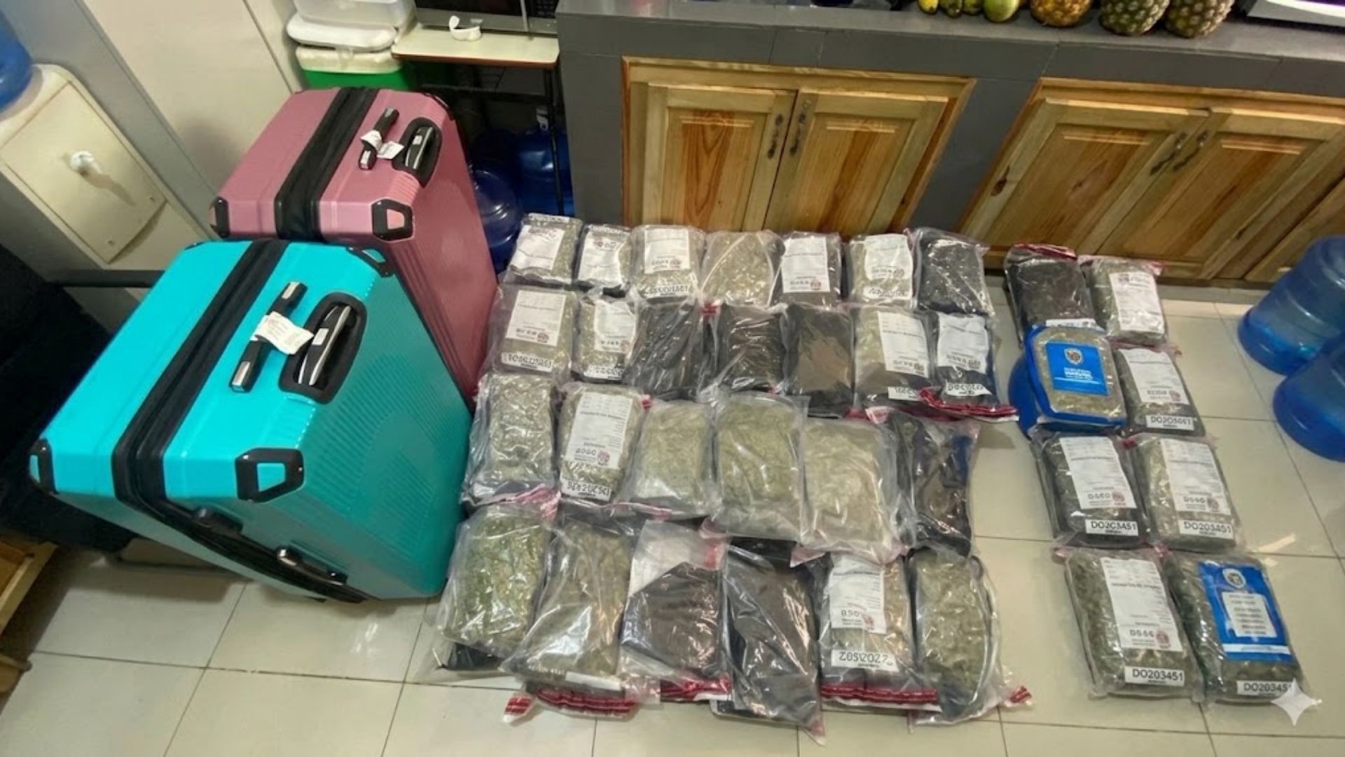DNCD confisca 94 paquetes de presunta marihuana y molly en el Aeropuerto de Punta Cana procedentes de Canadá