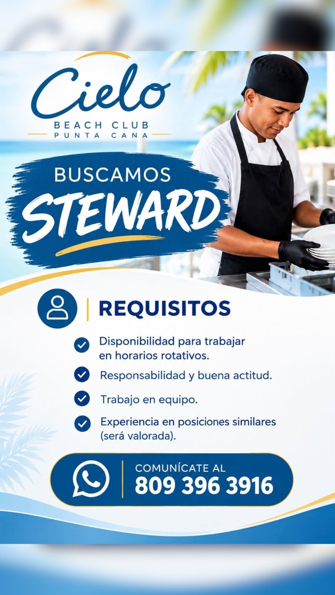 Publicidad 2