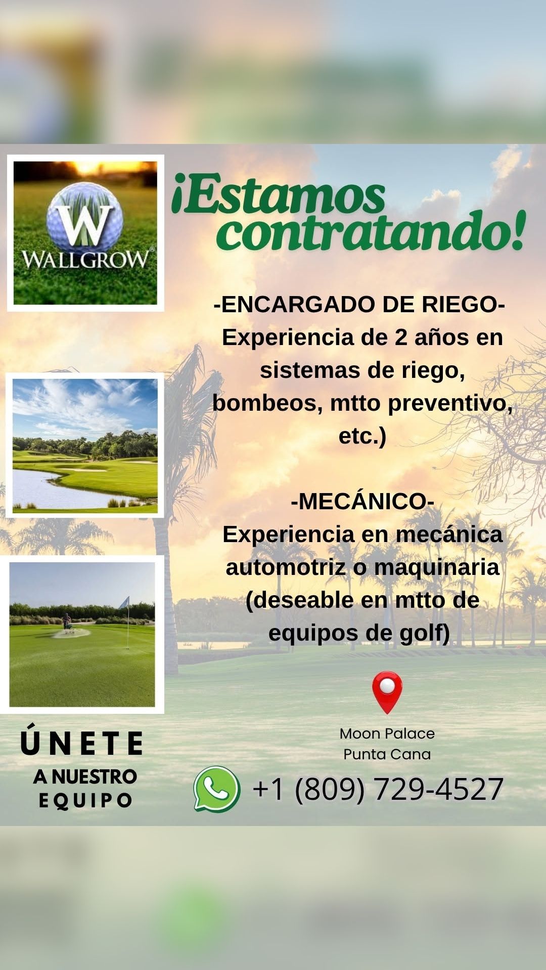 Publicidad 5